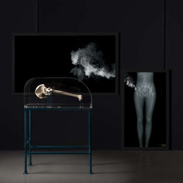 'Habitation', Helen Pynor, 2021. Unglazed bone china (made from the artist's bone removed during surgery, supplemented by animal bone), unglazed earthenware, felt, coral, metal, acrylic, archival pigment prints (drawn from the artist’s own archive of CT and X-Ray scans), lightboxes. Dimensions variable. Photo: Helen Pynor. Image courtesy of the artist, Experimenta, and City of Joondalup Art Collection. An Experimenta Commission. Capacity has been supported by City of Joondalup, Western Australia