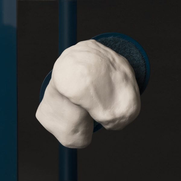 'Habitation (Load Bearing)' (detail), Helen Pynor, 2021. Unglazed bone china (made from the artist's bone removed during surgery, supplemented by animal bone), unglazed earthenware, felt, coral, metal, acrylic. 118 x 83 x 60 cm. Edition of 2 + 1AP. Photo: Helen Pynor. Image courtesy of the artist and Experimenta. An Experimenta Commission 