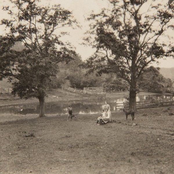 The Homestead, Farm & Garden