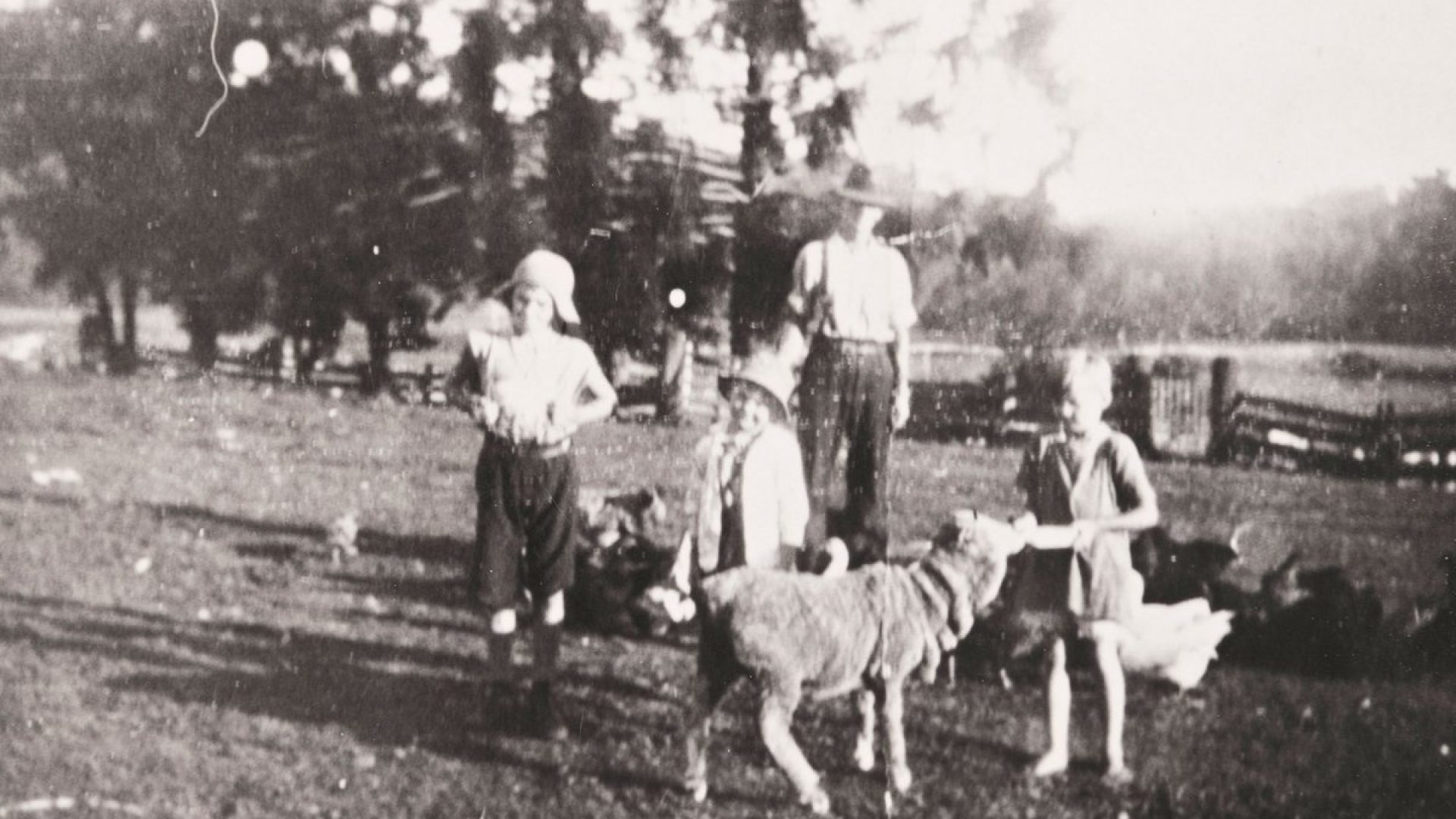 Black and white photo of adult man and 3 children petting a sheep with chickens near them