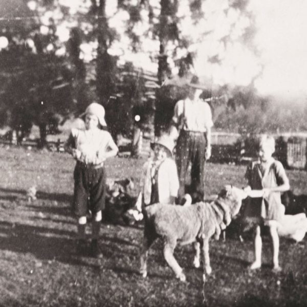  George Henry and the Henry children feeding the animals on the common at Bundanon, late 1920s. Bundanon Trust Archive