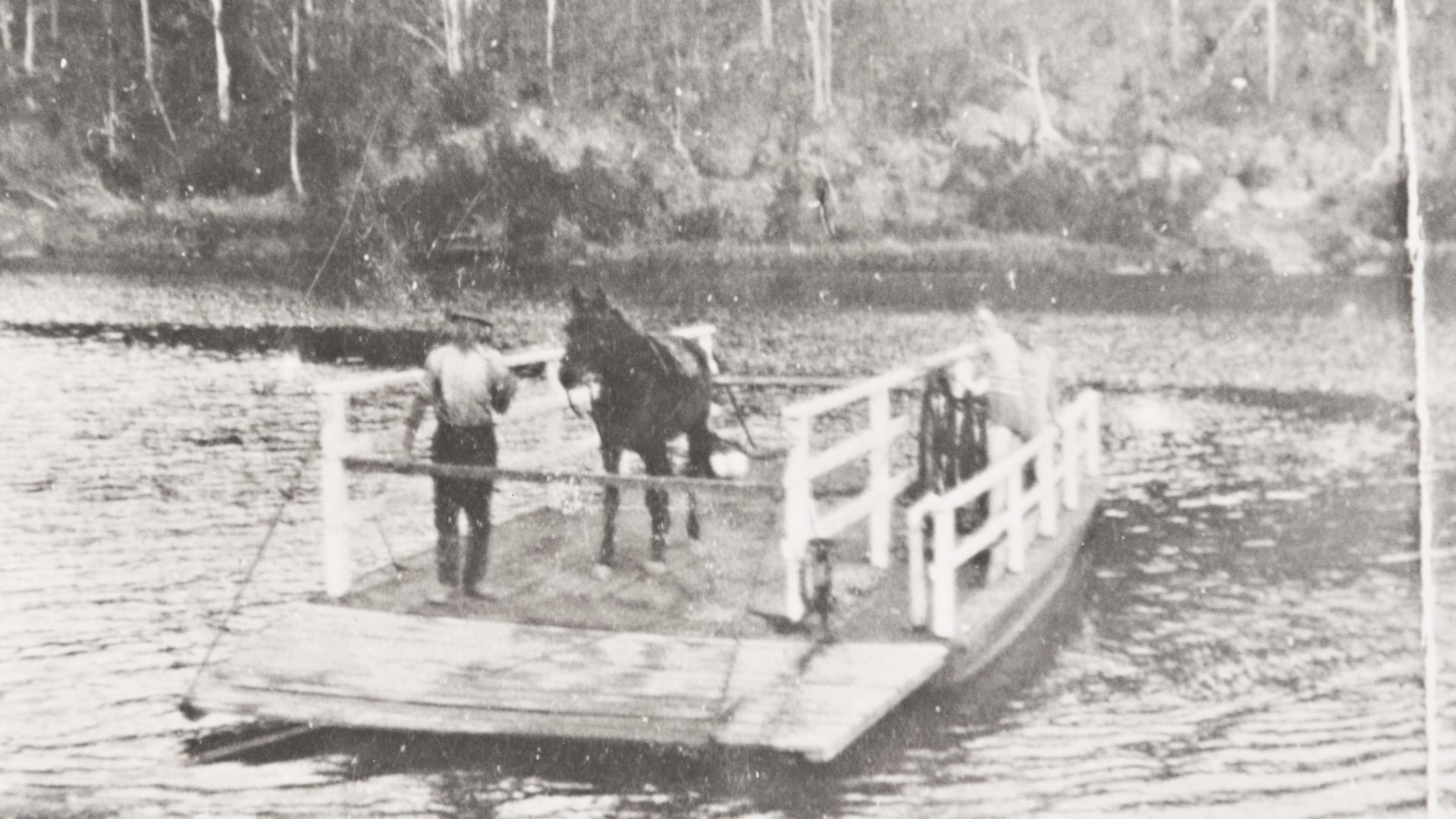 Photo of a punt floating on a river with a man and horse on it