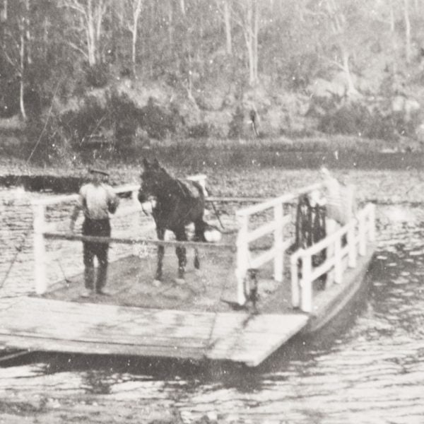 Photo of a punt floating on a river with a man and horse on it