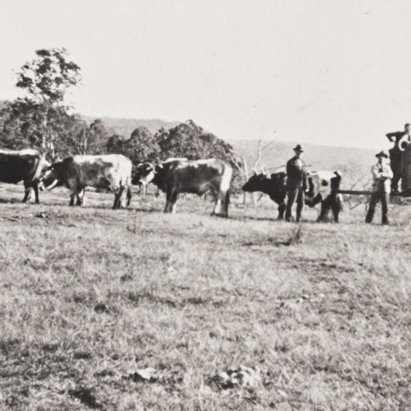 The Farm