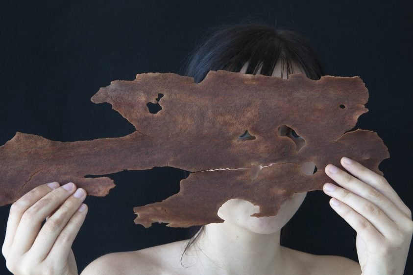 Anne Ferran – Intimate Journals