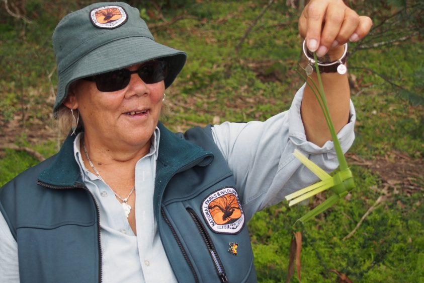 Walking Bundanon: Medicines and Bushtucker with Aunty Deidre