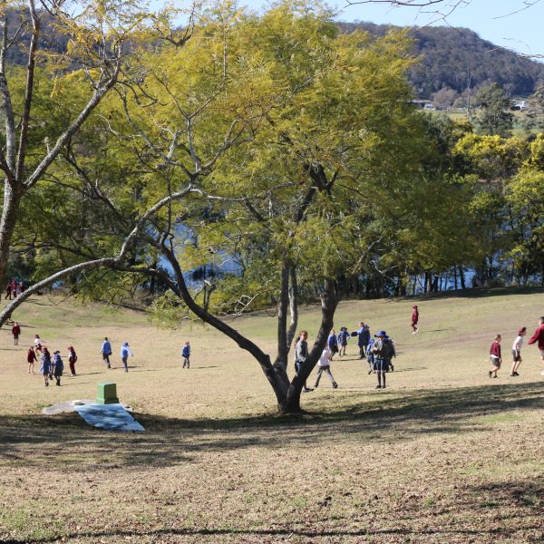 Book Week