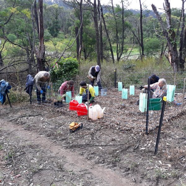 Restoring Riverflat Eucalypt Forest