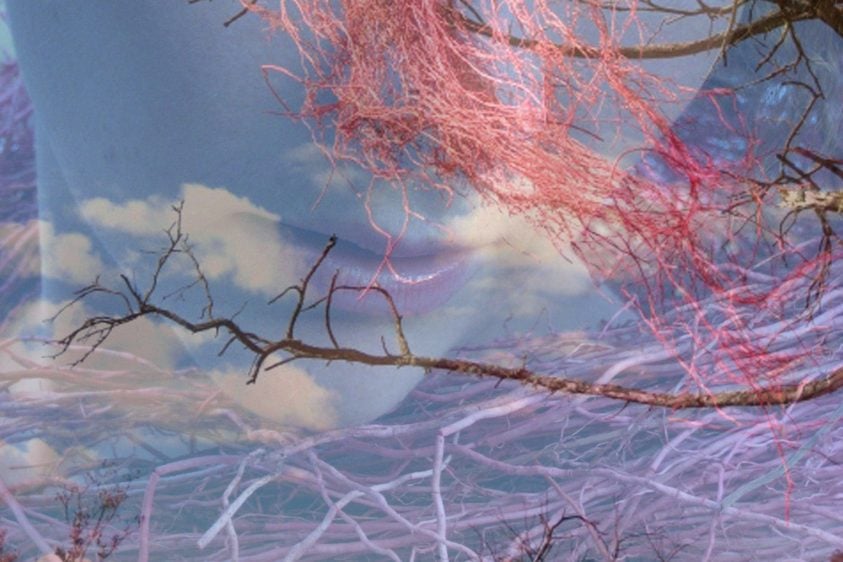 Aphrodite’s Dress – Artists in Collaboration