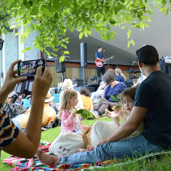 A large crowd of people sitting on the grass watching a person on stage singing and playing guitar