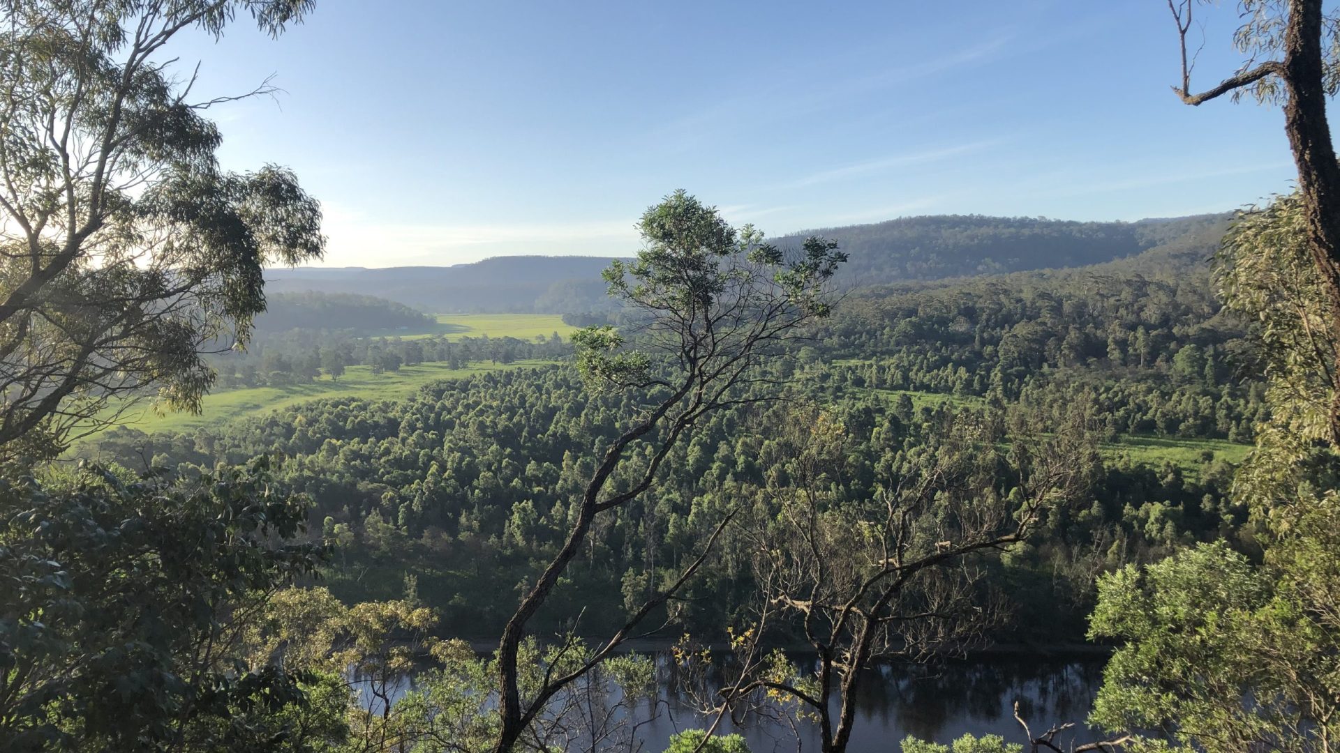 Landscape of a forest along the river.