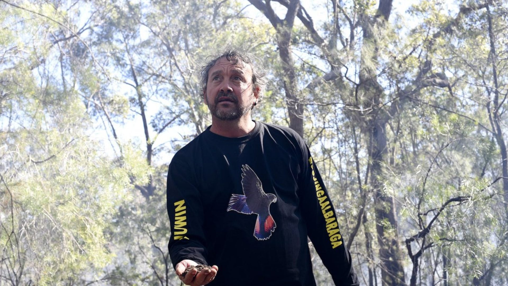 Person standing in a smoky forest area