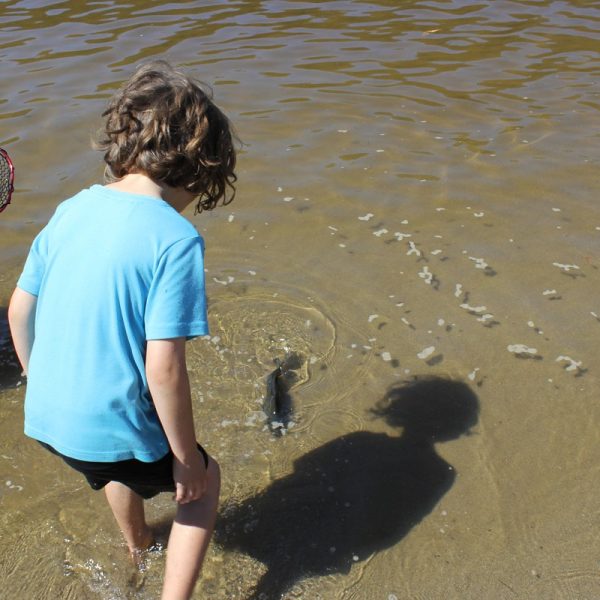 A child stands in the water catching a fish