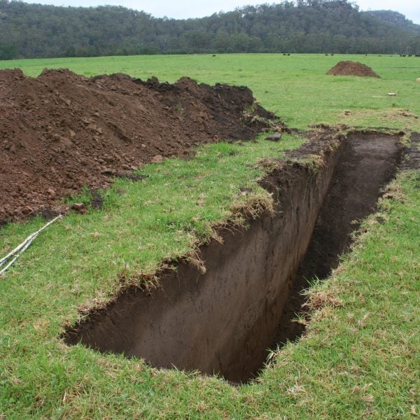 Ten Trenches: A Science-Art Collaborations, T.J. Cohen