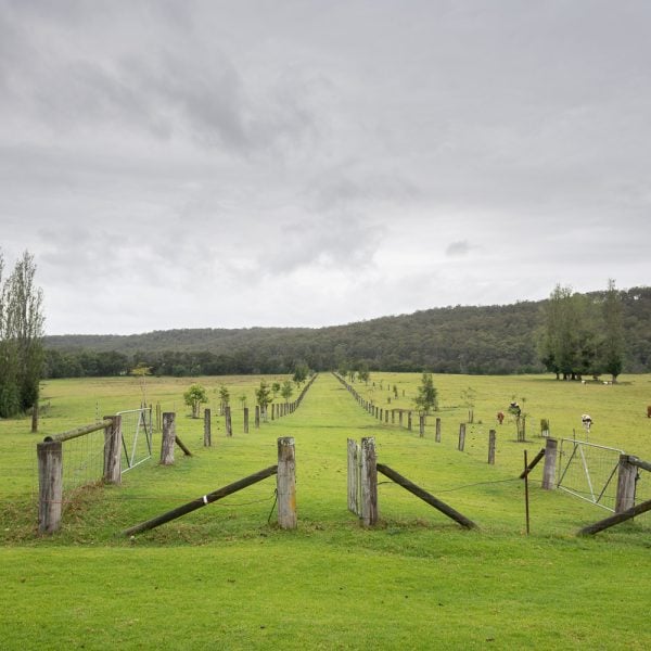 Landcare Living Landscape Case Study