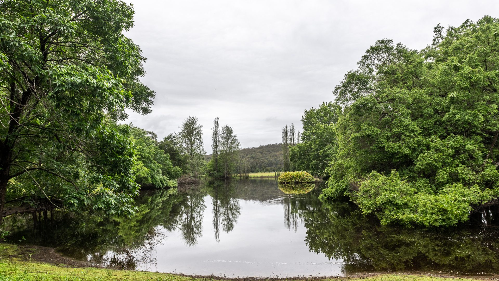 A lake surrounded by trees and green grass