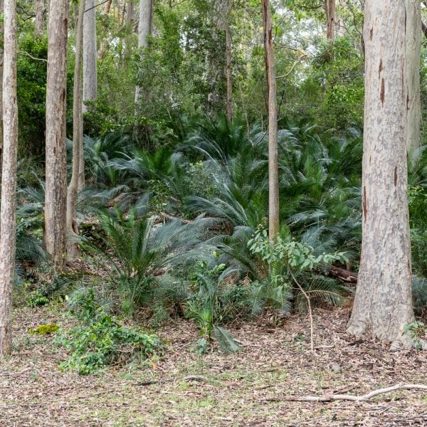 Landcare Living Landscape Case Study