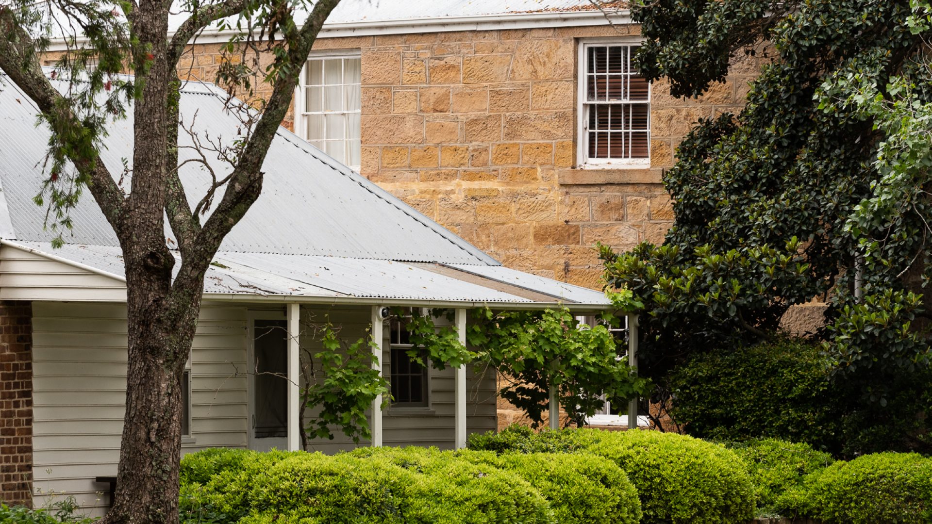 A wooden white building stands infront of a tall sandstone building. All surrounded by gardens and trees