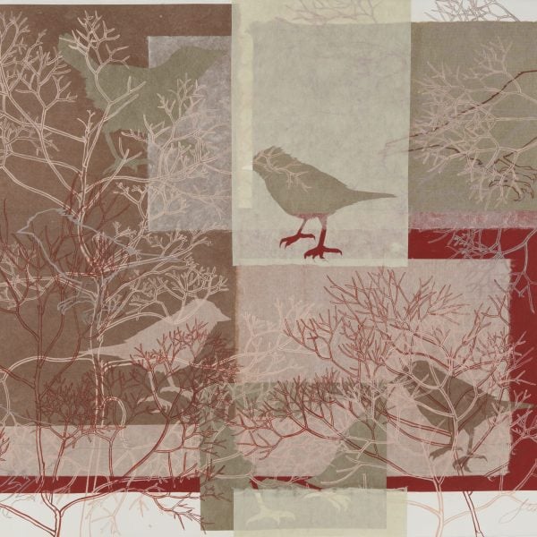 Julie Bradley