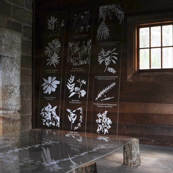 Janet Laurence, Treelines Track installation in the Singleman's Hut at Siteworks 2014