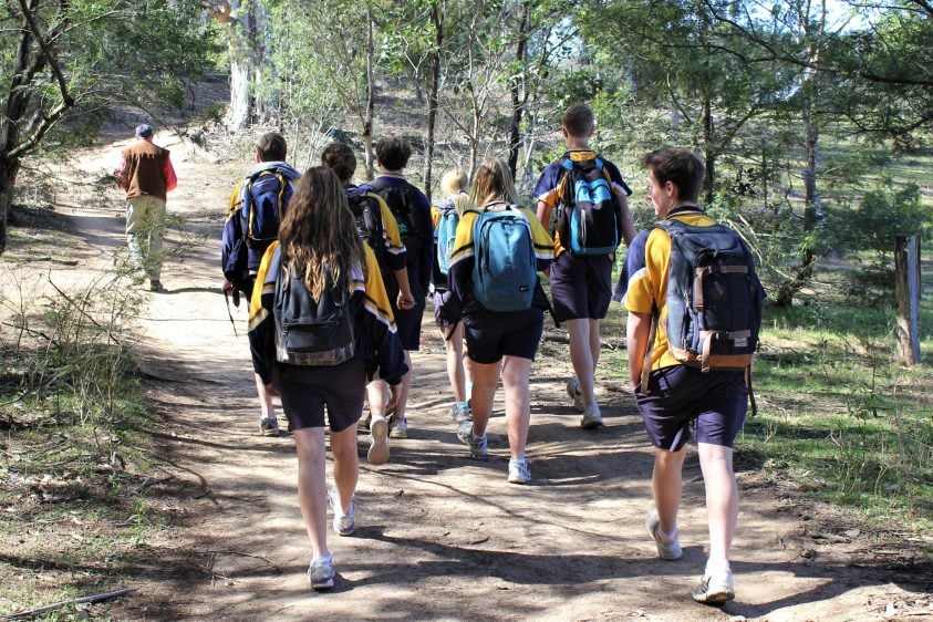 A group of students with backpacks walking along a dirt road surrounded by bush land