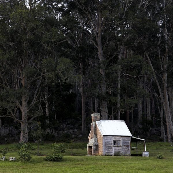 A small wooden cottage alongside bushland and green grass