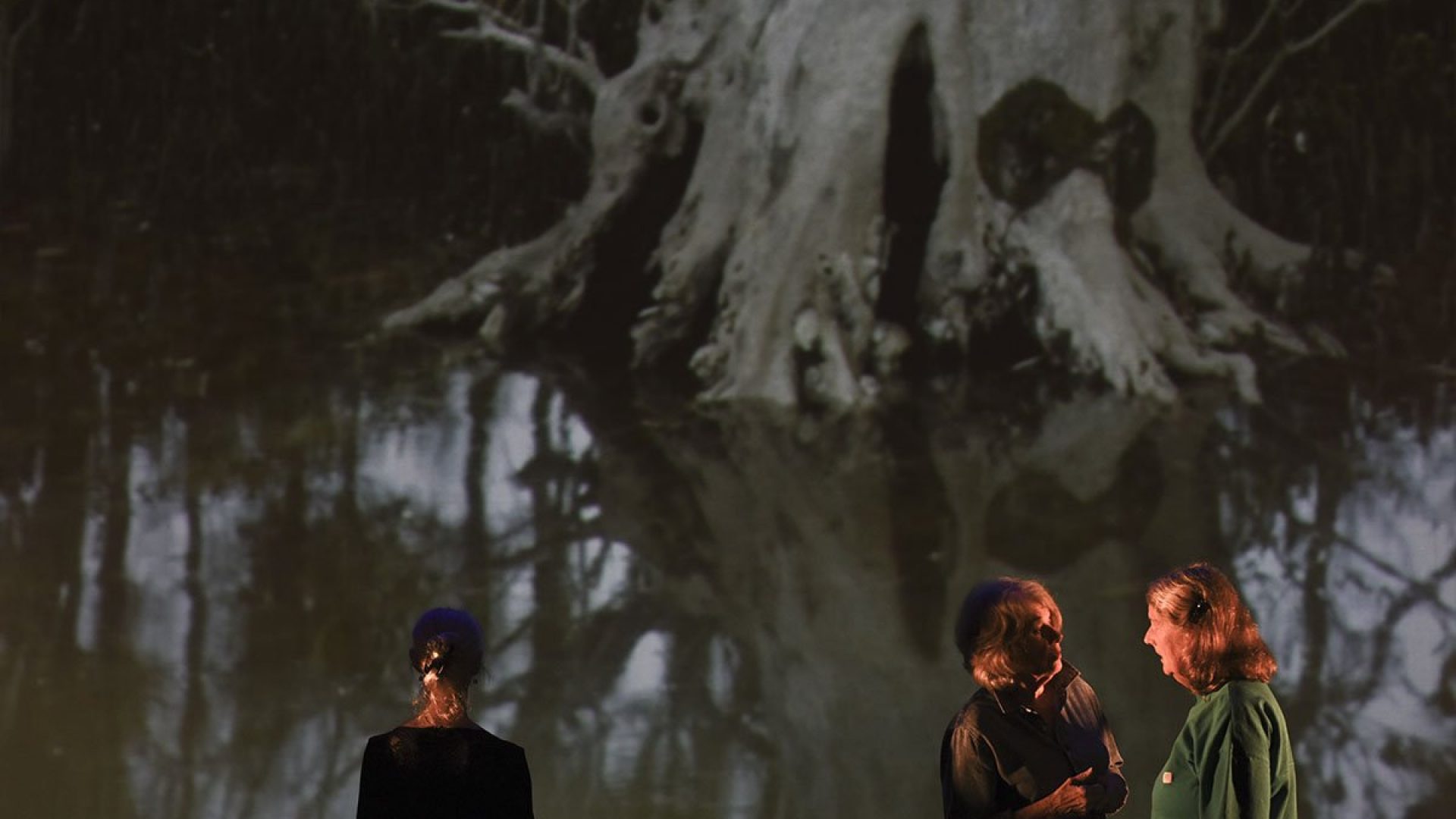 3 people talking together on stage. A projection of a lake is behind them