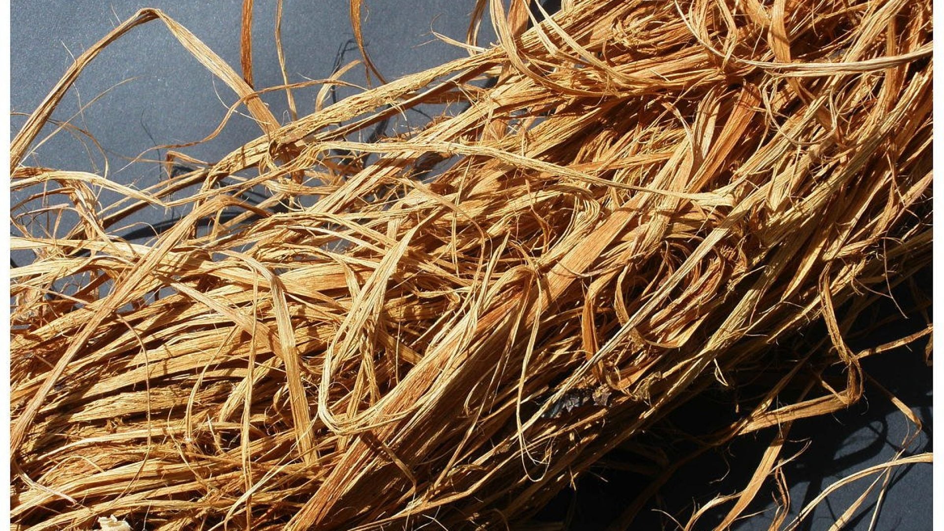 A bunch of brown dried grasses