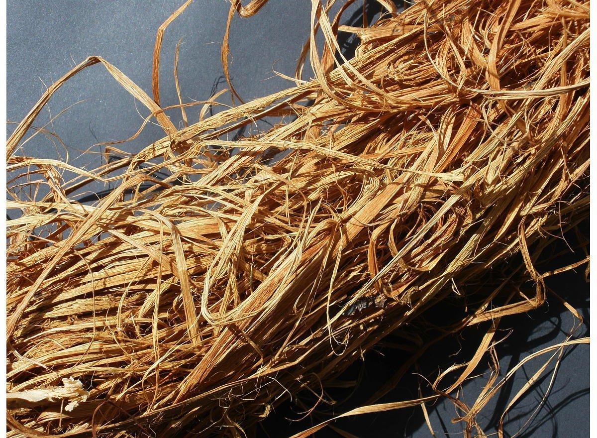 Bark fibres were carefully pounded from the inner bark of plants such as stringy bark, brown kurrajong and native hibiscus.