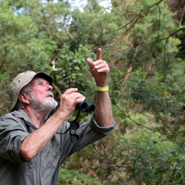 A person standing in bush area with a set of binoculars, pointing into the sky