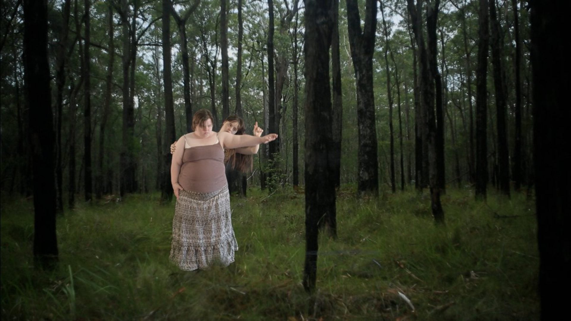 Two people standing in a forest of trees