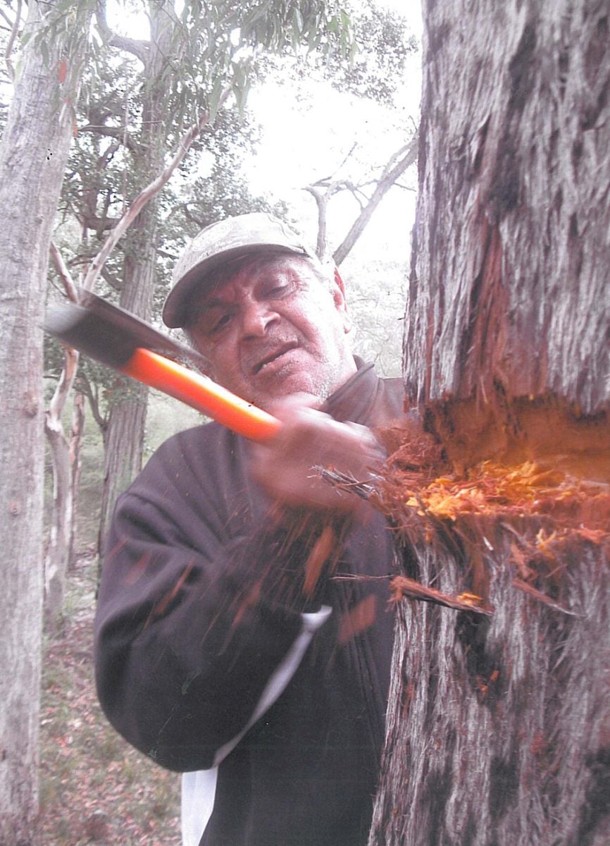 A person using an axe to cut wood from a stree