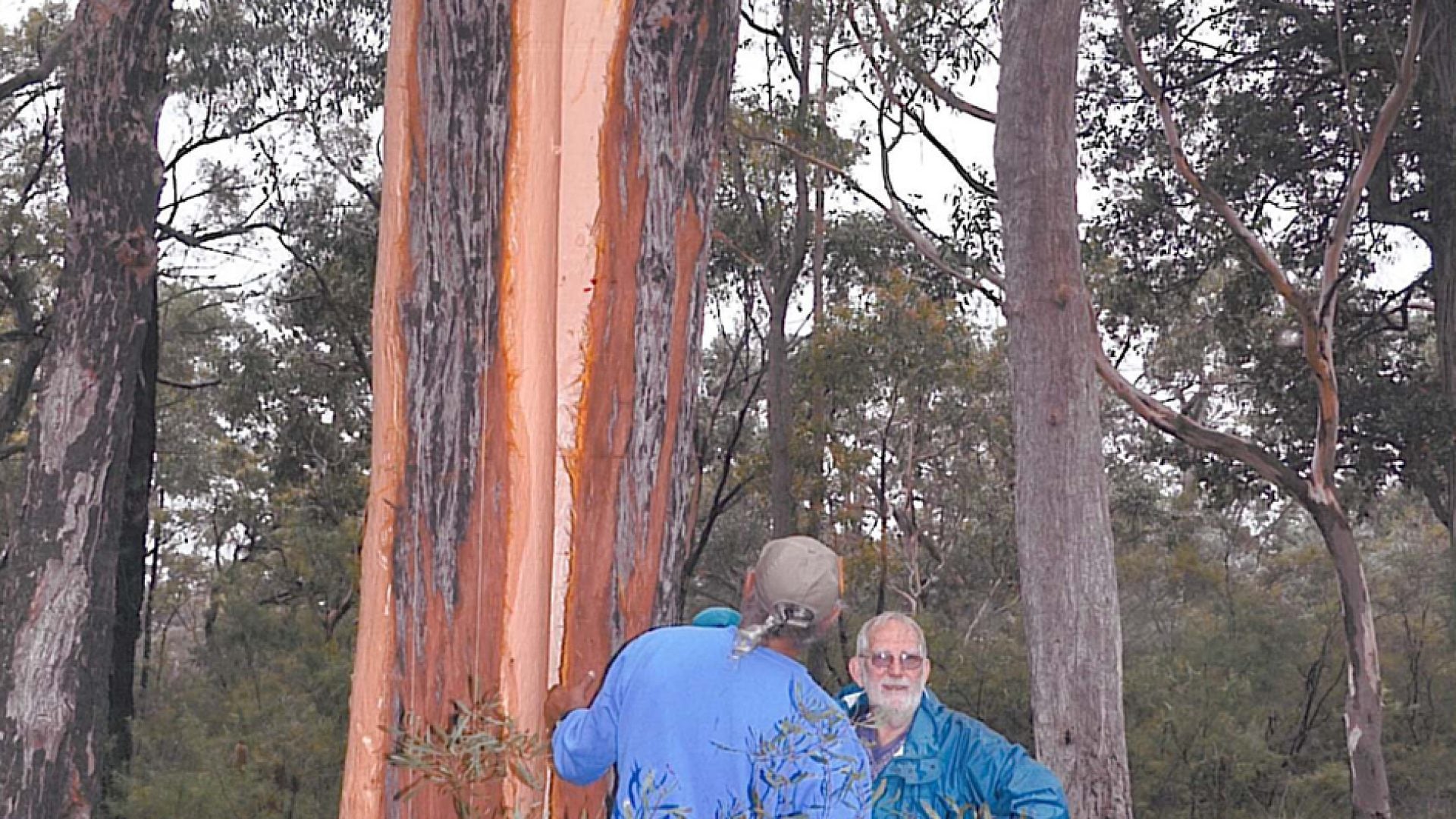 2 people standing beside a tree