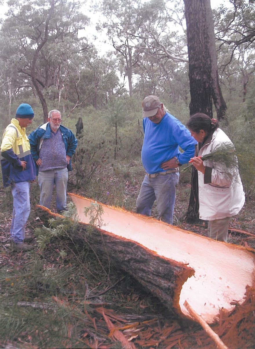 4 people building a small wooden canoe structure