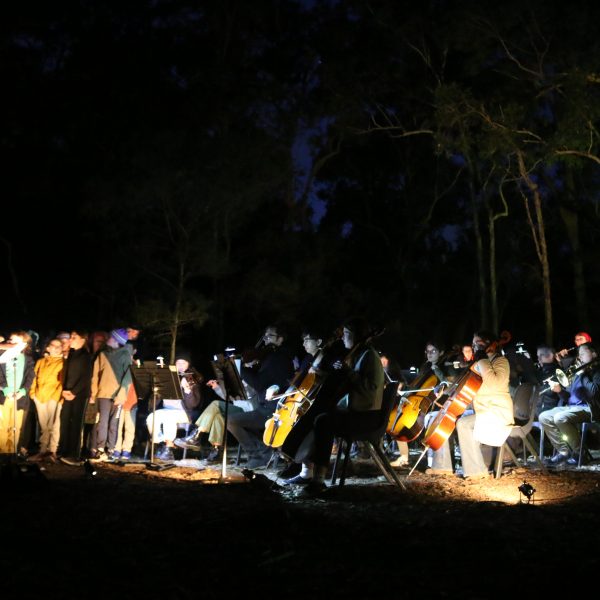 A group of children singing and playing instruments in a dark forest landscape