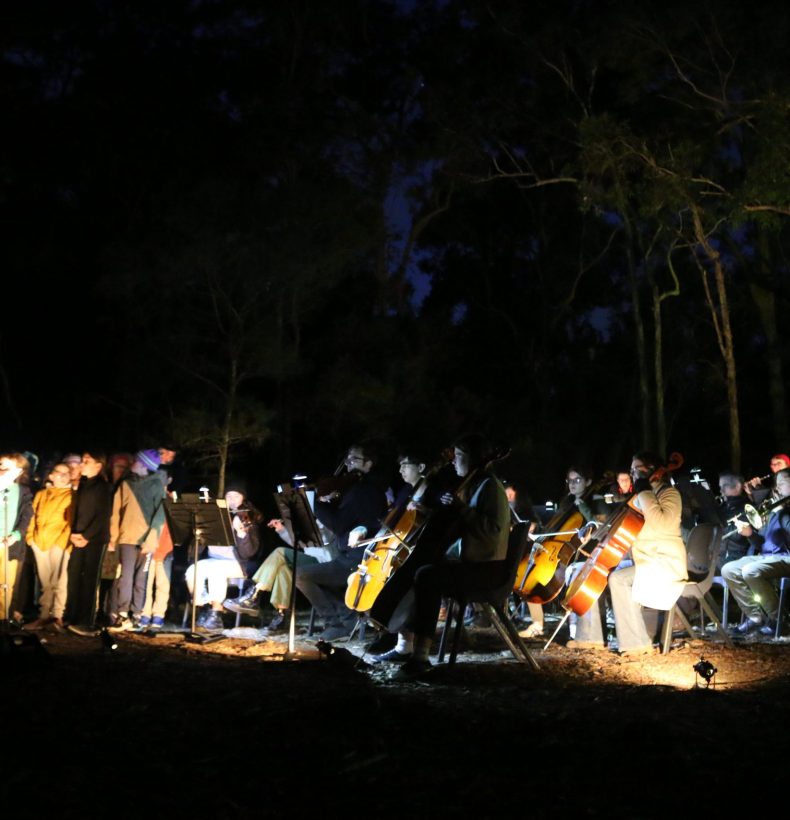 A group of children singing and playing instruments in a dark forest landscape