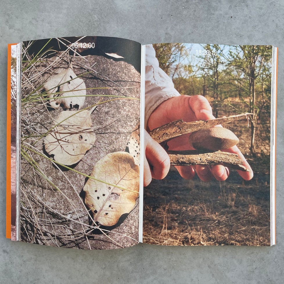 Sonia Leber and David Chesworth: Where Lakes Once Had Water - Image 3