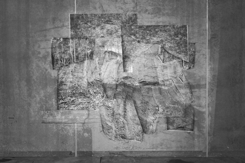 Izabela Pluta | Cyanotype Workshop | 2 – 4.30pm