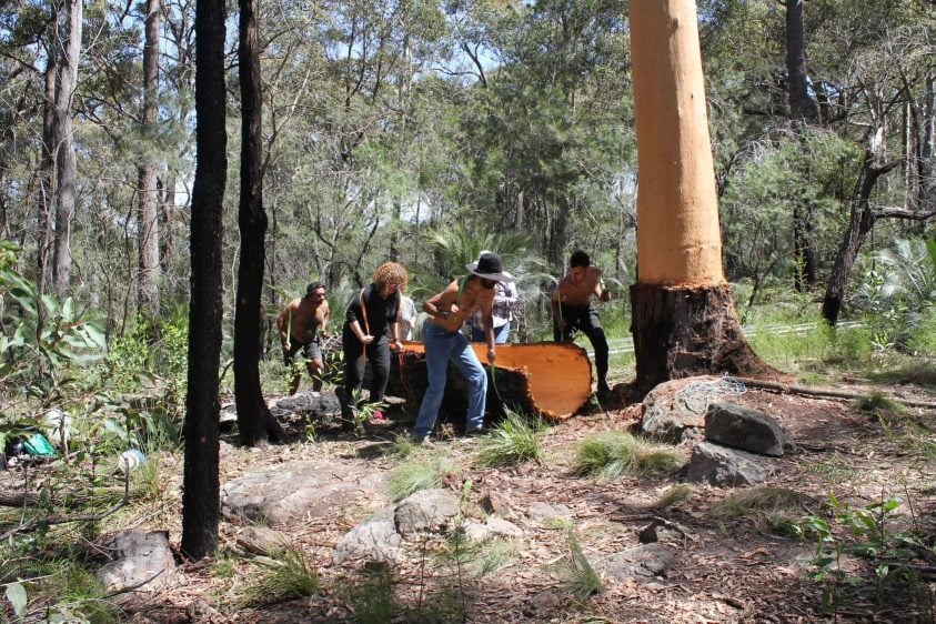 Walking Bundanon with Gadhungal Murring | 29 May