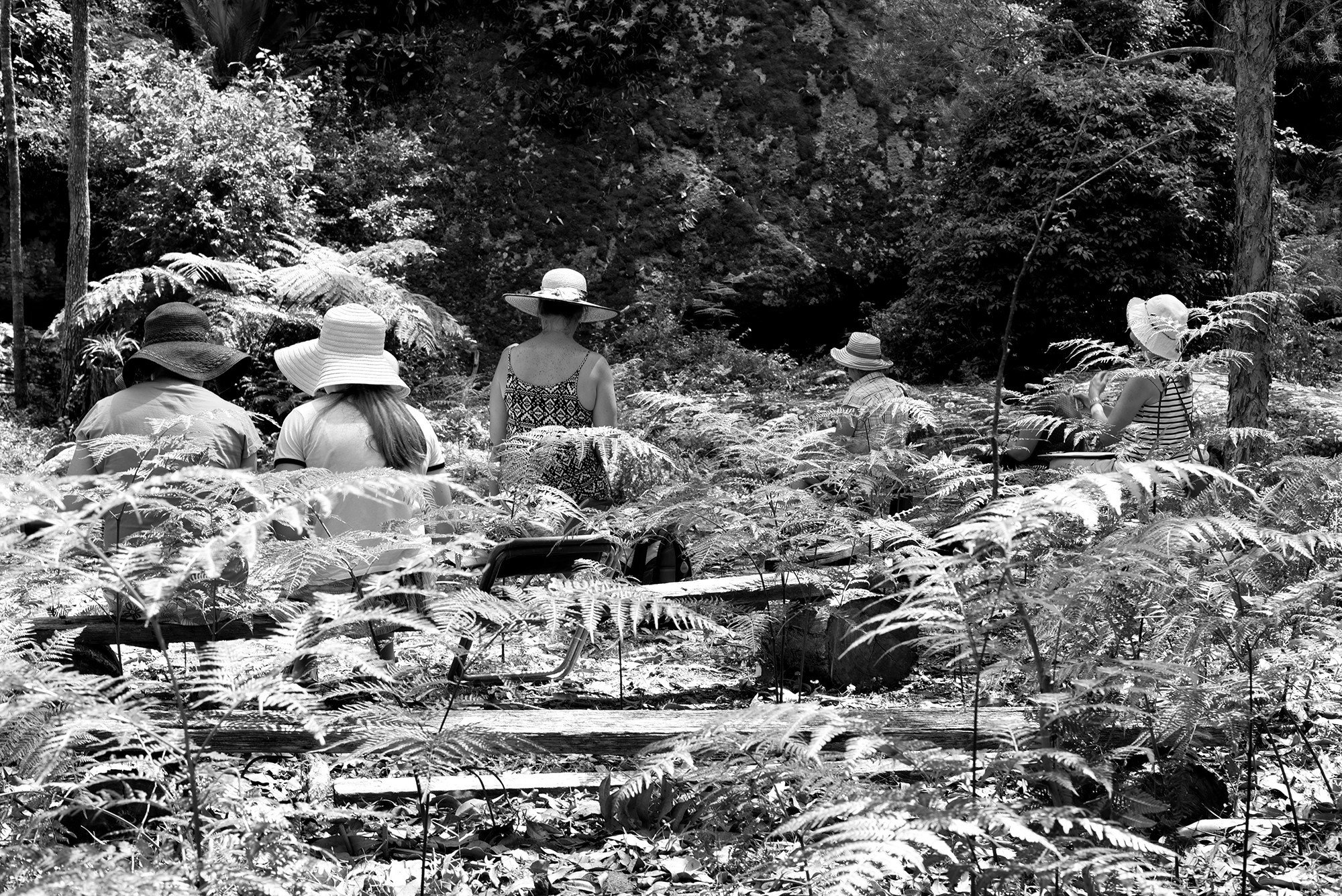 Forest Bathing Retreat — Bundanon