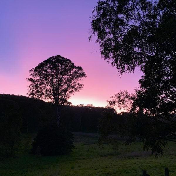 From Bundanon, By Kate Larsen, Artist in Residence, May 2022