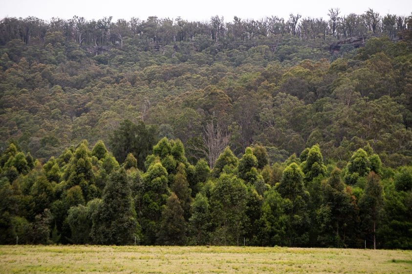 Poetry with Scott-Patrick Mitchell