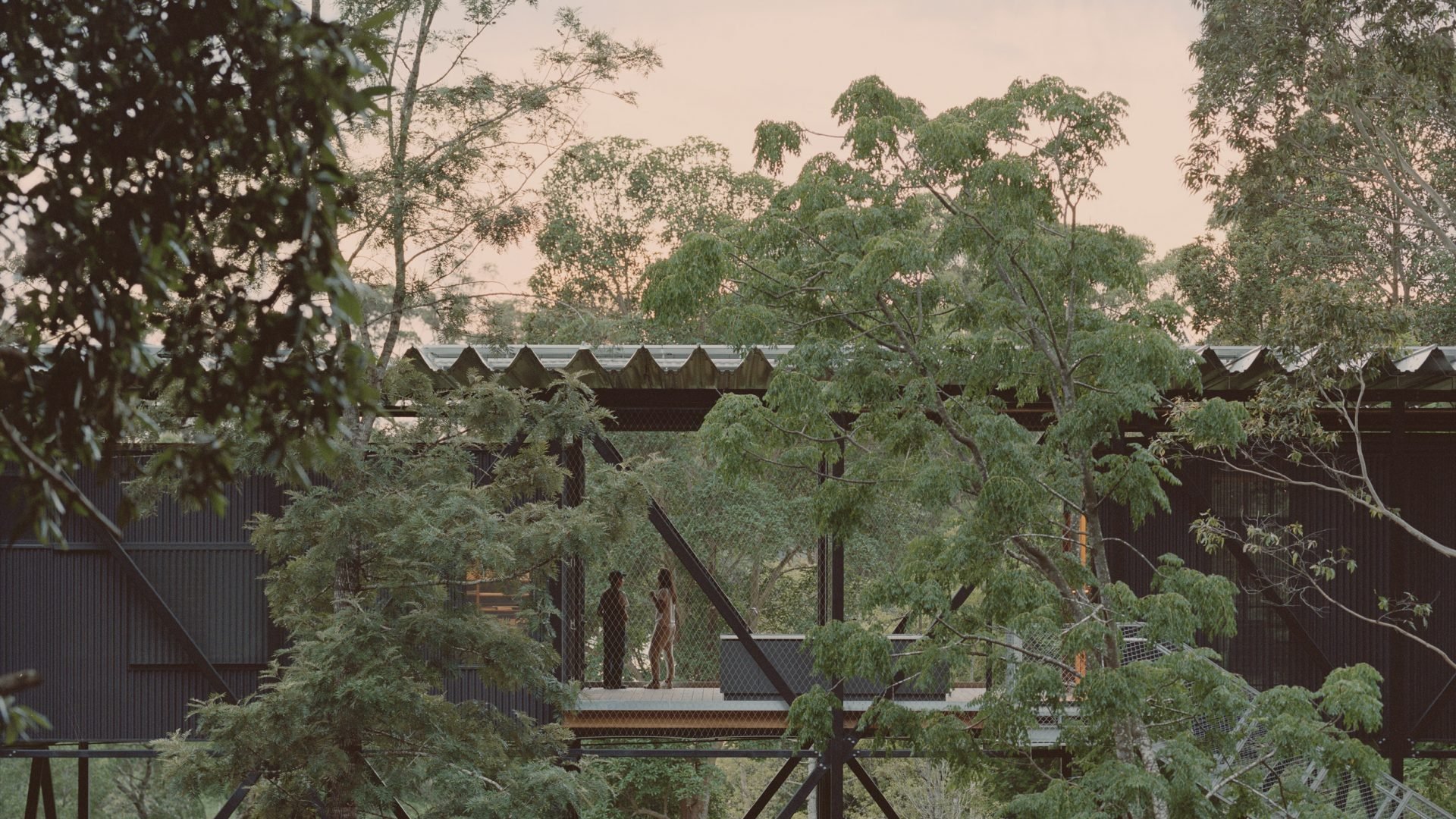The Bridge surrounded by trees