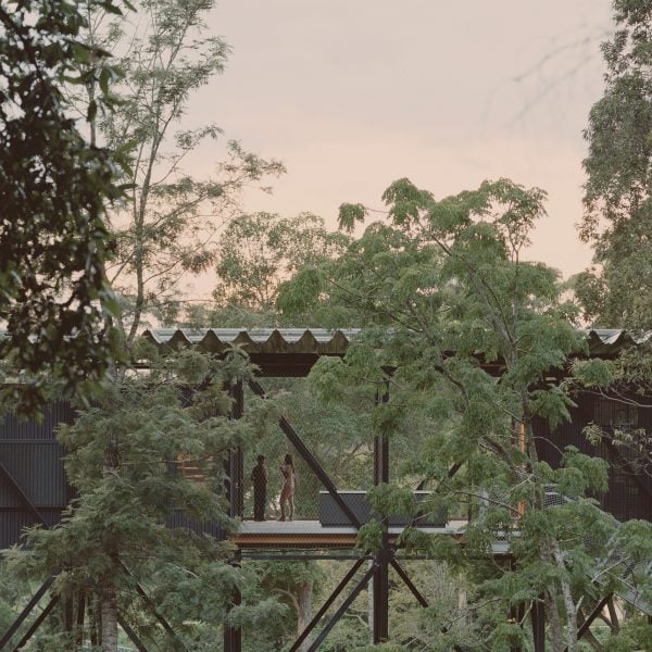 The Bridge surrounded by trees