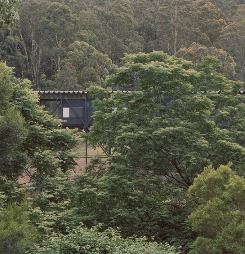 The Bridge behind trees