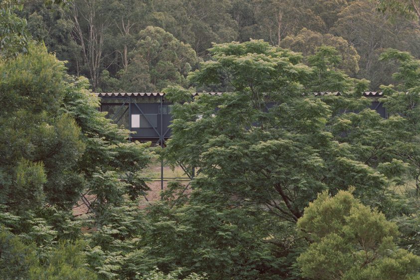 The Bridge behind trees