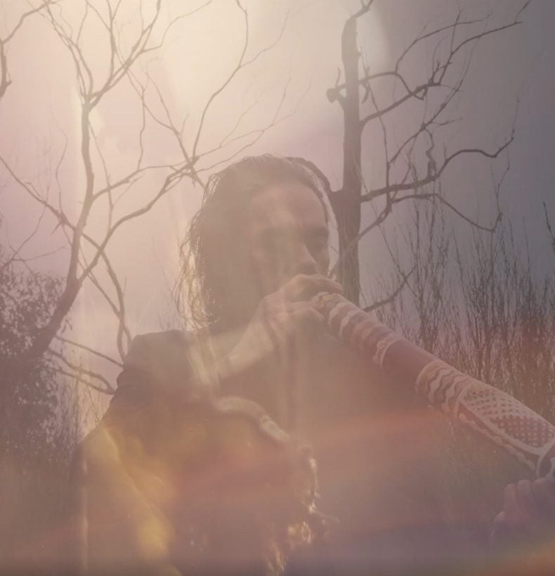 Misty photo of a person playing a didgeridoo in a burnt tree landscape