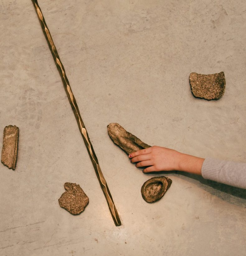 Brown objects on a grey floor with an arm extending and holding one
