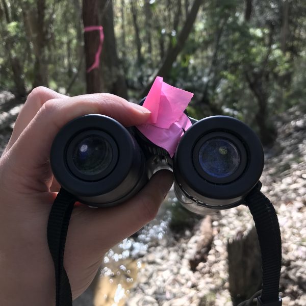 Hand holding binoculars with a pink ribbon