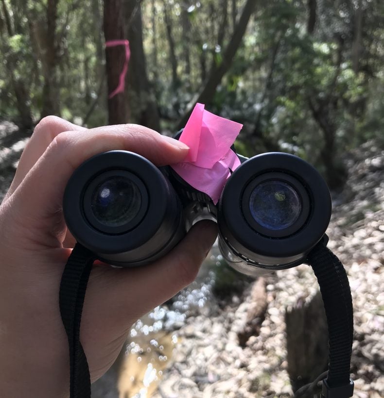 Hand holding binoculars with a pink ribbon